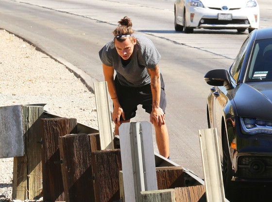 Harry Styles Harry Styles